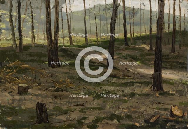 Landscape from Rath, 1880. Creator: Victor Westerholm.