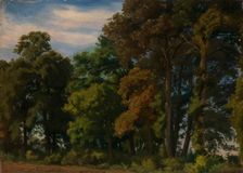 Landscape in Germany, Study, 1854. Creator: Werner Holmberg
