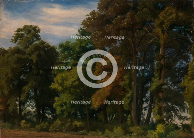 Landscape in Germany, Study, 1854. Creator: Werner Holmberg.