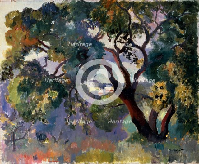 'Landscape in Saint-Tropez', 1905.  Artist: Henri Manguin