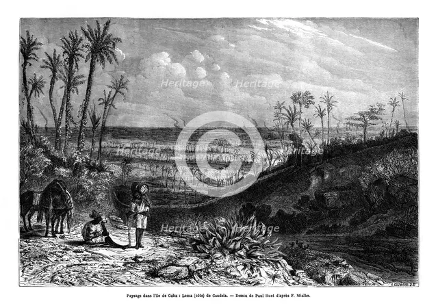 Landscape in the island of Cuba, 1859. Artist: Paul Huet