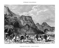 Landscape in the island of Cuba, 19th century. Artist: Paul Huet