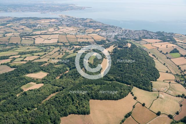 Landscape park and plantation at Luscombe Park, Devon, 2018. Creator: Historic England Staff Photographer.