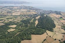 Landscape park and plantation at Luscombe Park, Devon, 2018. Creator: Historic England Staff Photographer