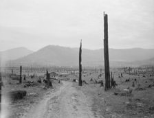 Landscape: stumps, sags, and stump farm in Priest River Valley, Bonner County, Idaho, 1939. Creator: Dorothea Lange