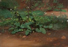 Landscape, Study, 1835-1853. Creator: Nils Jakob Blommer