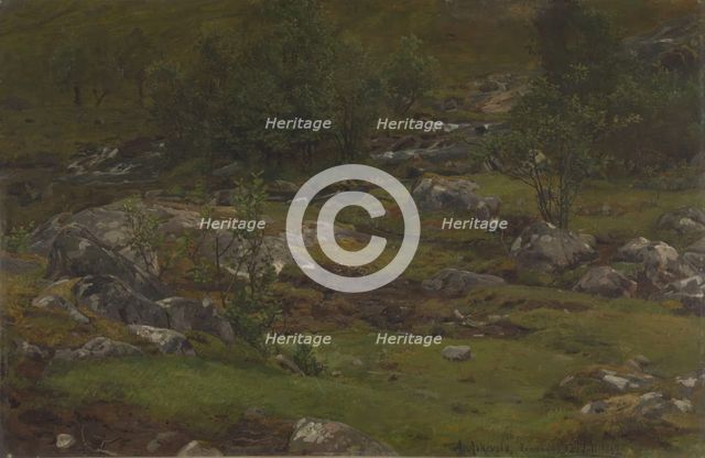 Landscape Study, 1862. Creator: Anders Monsen Askevold.