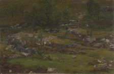 Landscape Study, 1862. Creator: Anders Monsen Askevold