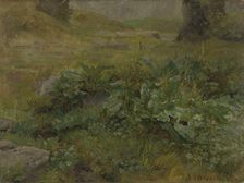 Landscape Study, 1869. Creator: Anders Monsen Askevold