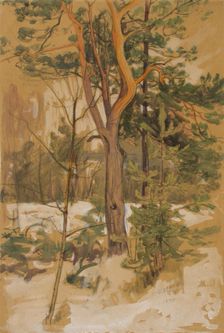 Landscape Study, 1894. Creator: Victor Westerholm