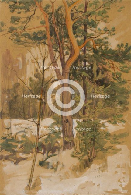 Landscape Study, 1894. Creator: Victor Westerholm.