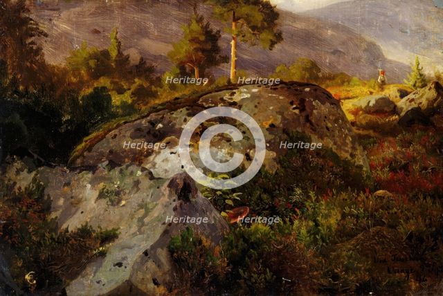 Landscape Study from Vaga, 1846. Creator: Hans Gude.