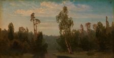 Landscape Study with a Lake, probably 1850. Creator: Herman August Cappelen