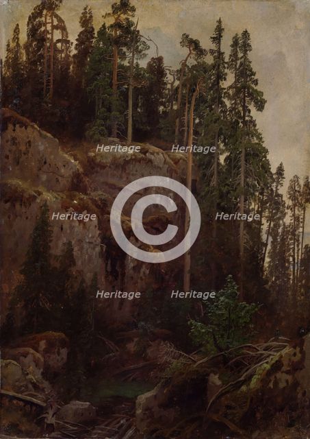 Landscape Study with a Precipice, probably 1850. Creator: Herman August Cappelen.