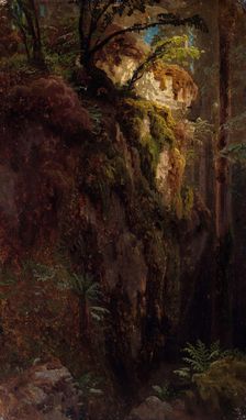 Landscape Study with a Ravine, probably 1850. Creator: Herman August Cappelen