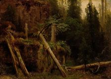 Landscape Study with decaying Trees, probably 1851. Creator: Herman August Cappelen