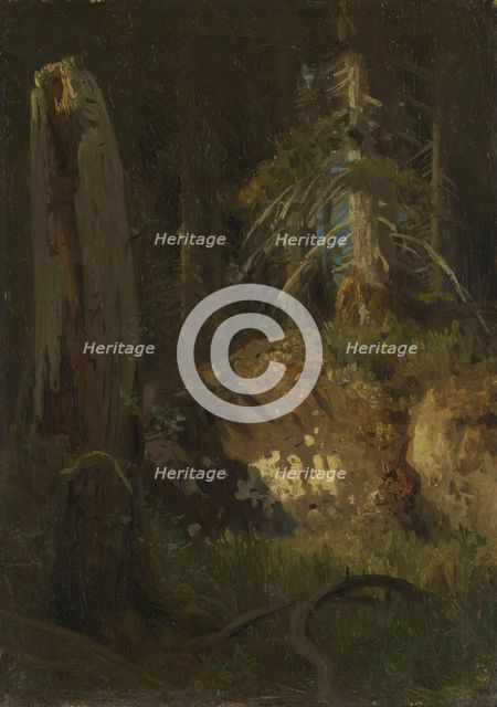 Landscape Study with Decaying Trees, probably 1851. Creator: Herman August Cappelen.