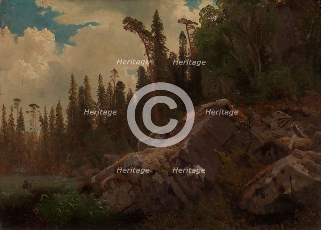 Landscape Study with Trees and Rocks, probably 1851. Creator: Herman August Cappelen.