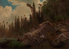 Landscape Study with Trees and Rocks, probably 1851. Creator: Herman August Cappelen