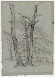 Landscape Study with Trees, c. 1870-1875. Creator: Thomas Couture (French, 1815-1879)