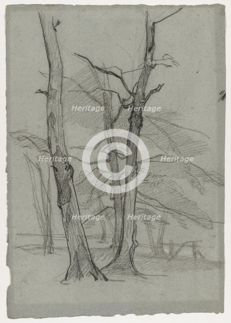 Landscape Study with Trees, c. 1870-1875. Creator: Thomas Couture (French, 1815-1879).