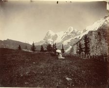 Landscape, Switzerland, c. 1860. Creator: Adolphe Braun
