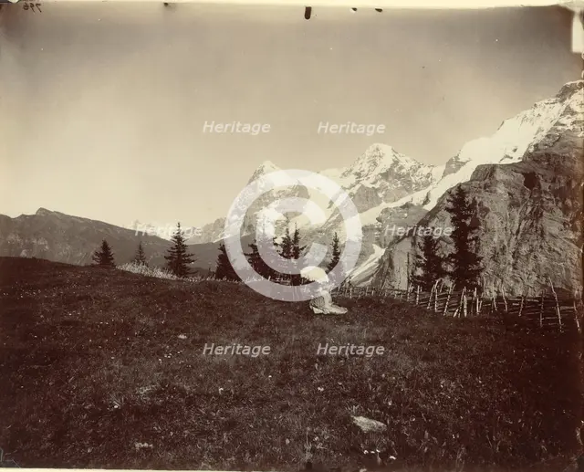 Landscape, Switzerland, c. 1860. Creator: Adolphe Braun.