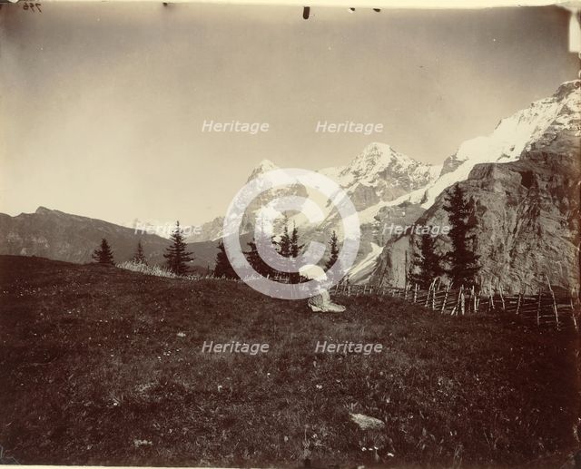 Landscape, Switzerland, c. 1860. Creator: Adolphe Braun.