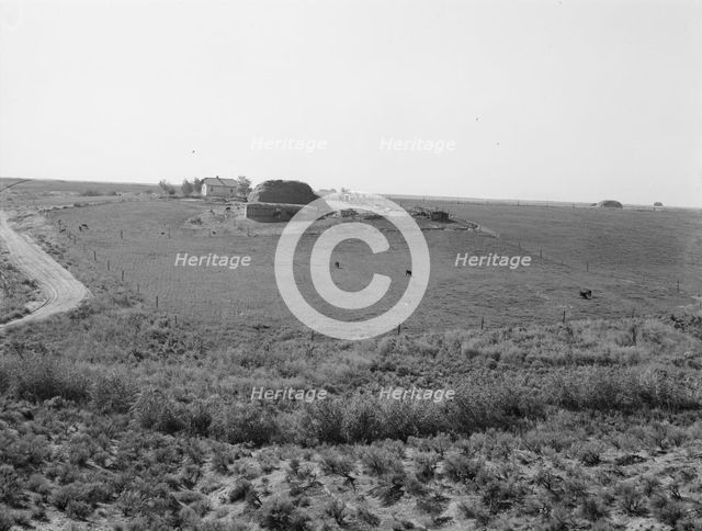 Landscape showing home of FSA borrower..., Nyssa Heights, Malheur County, Oregon, 1939. Creator: Dorothea Lange.