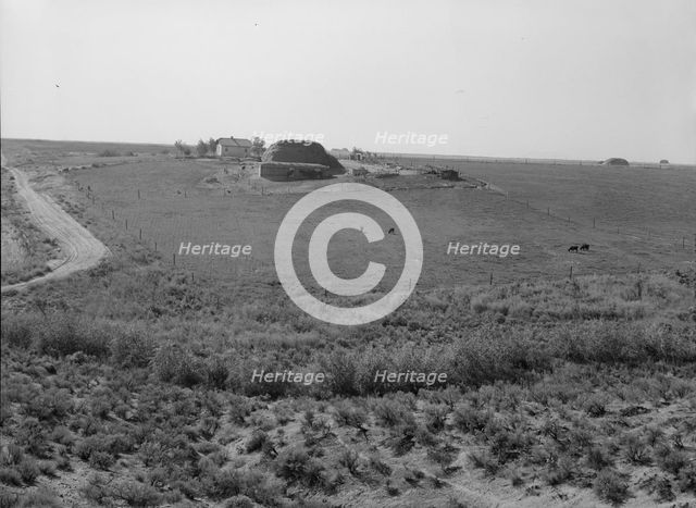 Landscape showing home of FSA borrower..., Nyssa Heights, Malheur County, Oregon, 1939. Creator: Dorothea Lange.