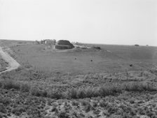 Landscape showing home of FSA borrower..., Nyssa Heights, Malheur County, Oregon, 1939. Creator: Dorothea Lange