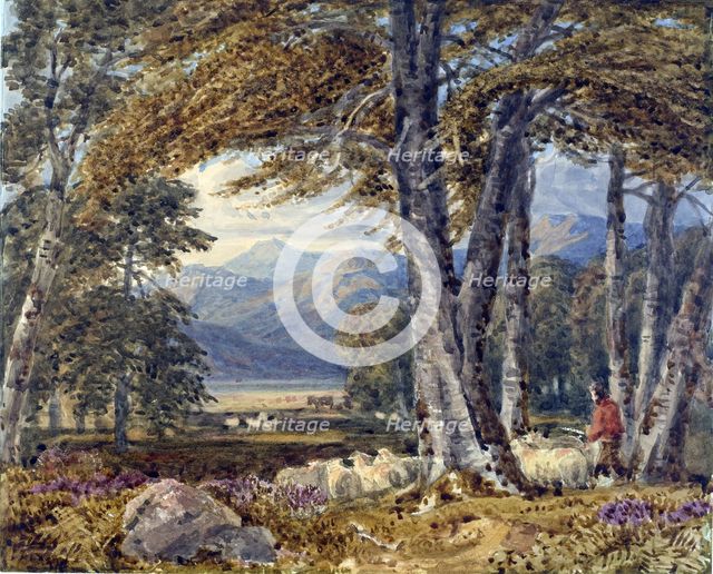 Landscape through trees,  1750-1780. Creator: George Barret Sr.