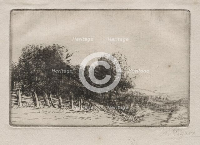 Landscape (Un Paysage). Creator: Alphonse Legros (French, 1837-1911).