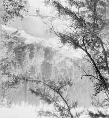 Landscape view of a wooded valley with a river, between 1911 and 1942. Creator: Arnold Genthe
