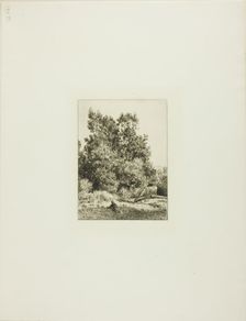 Landscape with Cowherd, c. 1865. Creator: Charles Emile Jacque