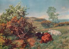 Landscape with Cattle (In the Nower, Dorking) c1899. Artist: Charles Collins