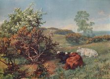 Landscape with Cattle (In the Nower, Dorking) c1899. Artist: Charles Collins