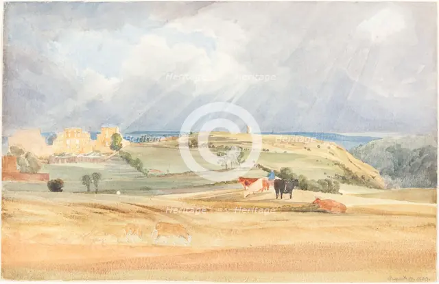 Landscape with Cattle (Somerset?), 1830. Creator: James Bulwer.