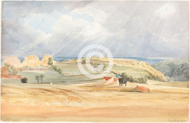 Landscape with Cattle (Somerset?), 1830. Creator: James Bulwer.