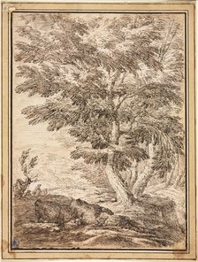 Landscape with Clump of Trees, 17th century. Creator: Unknown