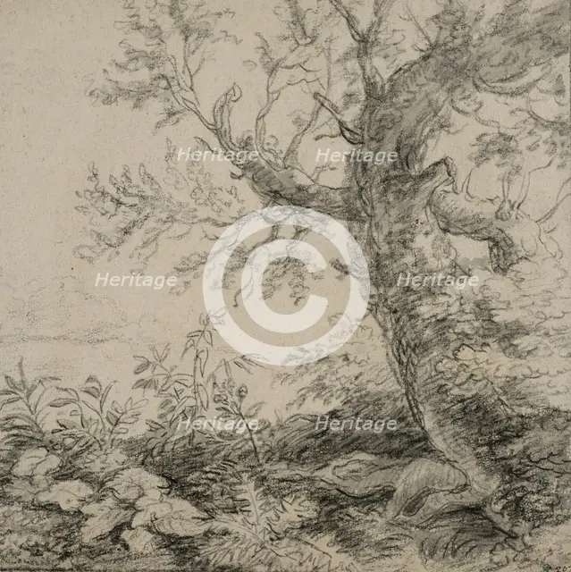 Landscape with a tree, ca 1630-1690. Creator: Anthonie Waterloo.