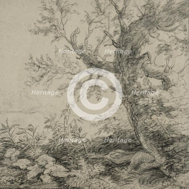 Landscape with a tree, ca 1630-1690. Creator: Anthonie Waterloo.