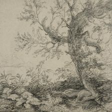 Landscape with a tree, ca 1630-1690. Creator: Anthonie Waterloo