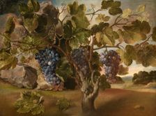 Landscape with a Vine, 1645. Creator: Tomás Hiepes