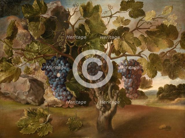Landscape with a Vine, 1645. Creator: Tomás Hiepes.