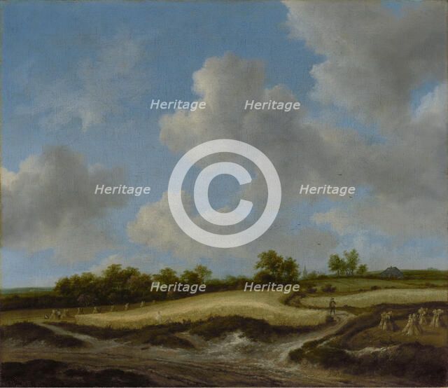 Landscape with a Wheatfield, about late 1650s-early 1660s. Creator: Jacob van Ruisdael.