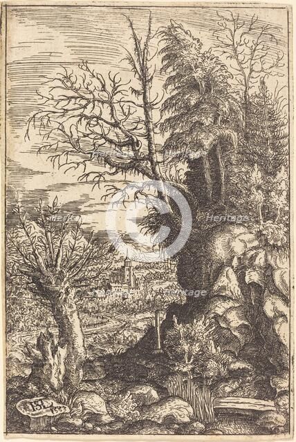 Landscape with a Willow, 1553. Creator: Hans Sebald Lautensack.