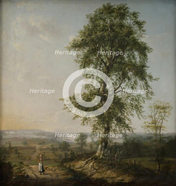 Landscape with a Big Tree, 1814. Creator: Johan Christian Dahl.