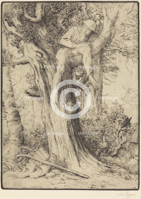Landscape with a Boy in a Tree (Paysage avec un garcon grimpe sur un arbre, dite "Le denicheur d'ois Creator: Alphonse Legros.