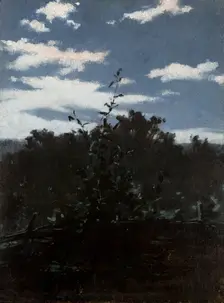 Landscape with a Brushwood Fence, c1880. Creator: Witold Pruszkowski